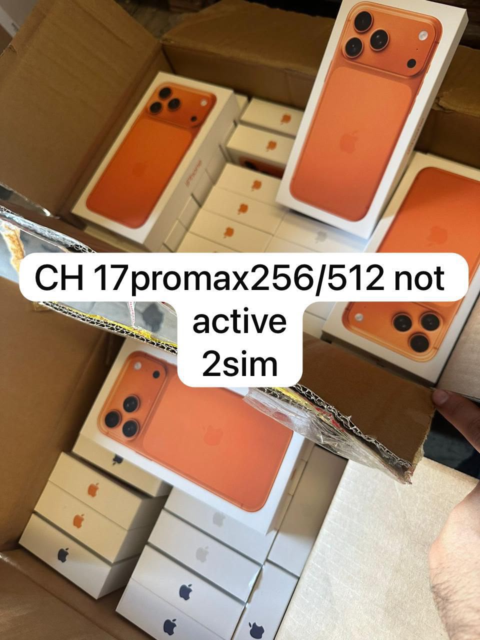 iPhone 17 Pro Max
